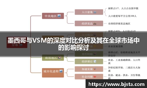 墨西哥与VSM的深度对比分析及其在全球市场中的影响探讨