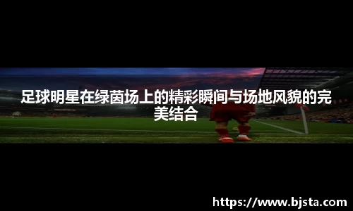 足球明星在绿茵场上的精彩瞬间与场地风貌的完美结合